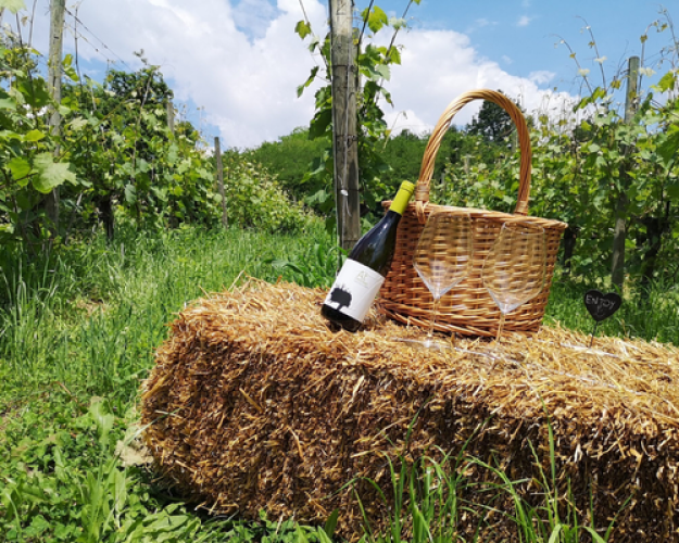 wine experience