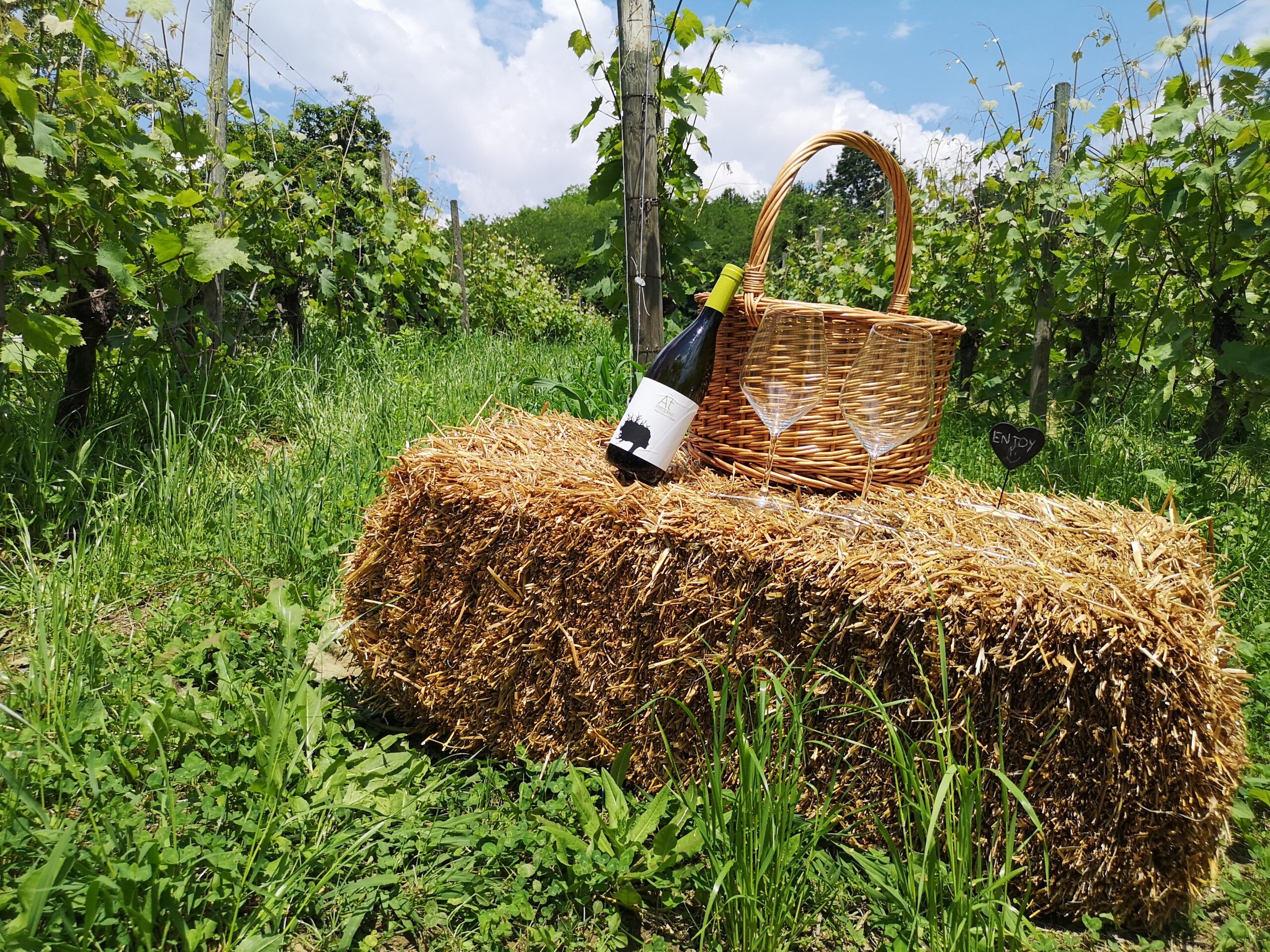 wine experience