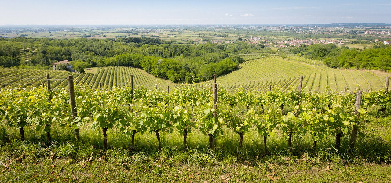 paesaggio